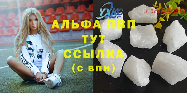 ECSTASY Дмитриев