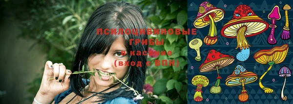 ECSTASY Дмитриев