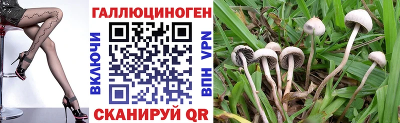Купить закладки  Краснозаводск  Псилоцибиновые грибы Psilocybine cubensis 